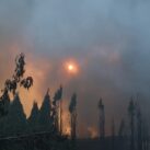 Dim nakon ruskog raketnog udara prekriva sunce u okolini Harkova, u Ukrajini