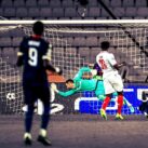 Crvena zvezda u Ligi šampiona