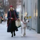 The Friend, film sa Naomi Watts