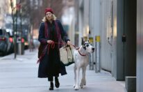 The Friend, film sa Naomi Watts