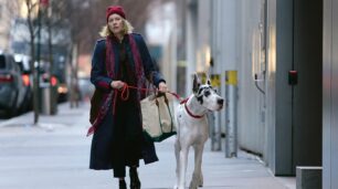 The Friend, film sa Naomi Watts