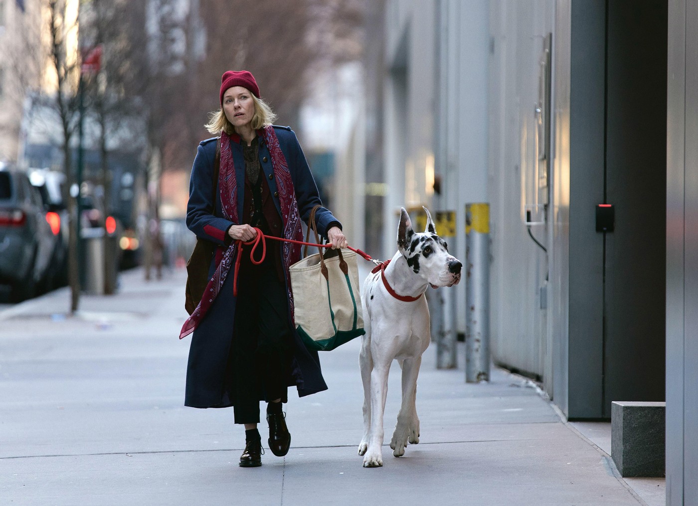 The Friend, film sa Naomi Watts