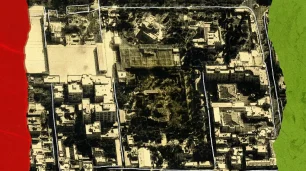 Ali Hamnej ubistvo, Iran