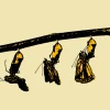 Promena