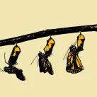 Promena