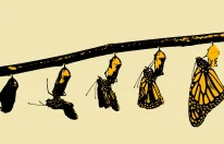 Promena