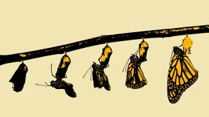 Promena