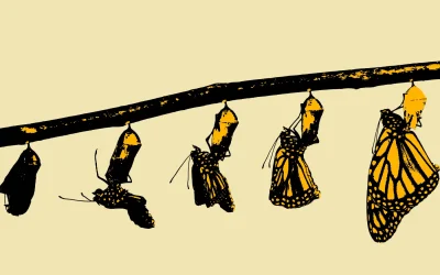 Promena