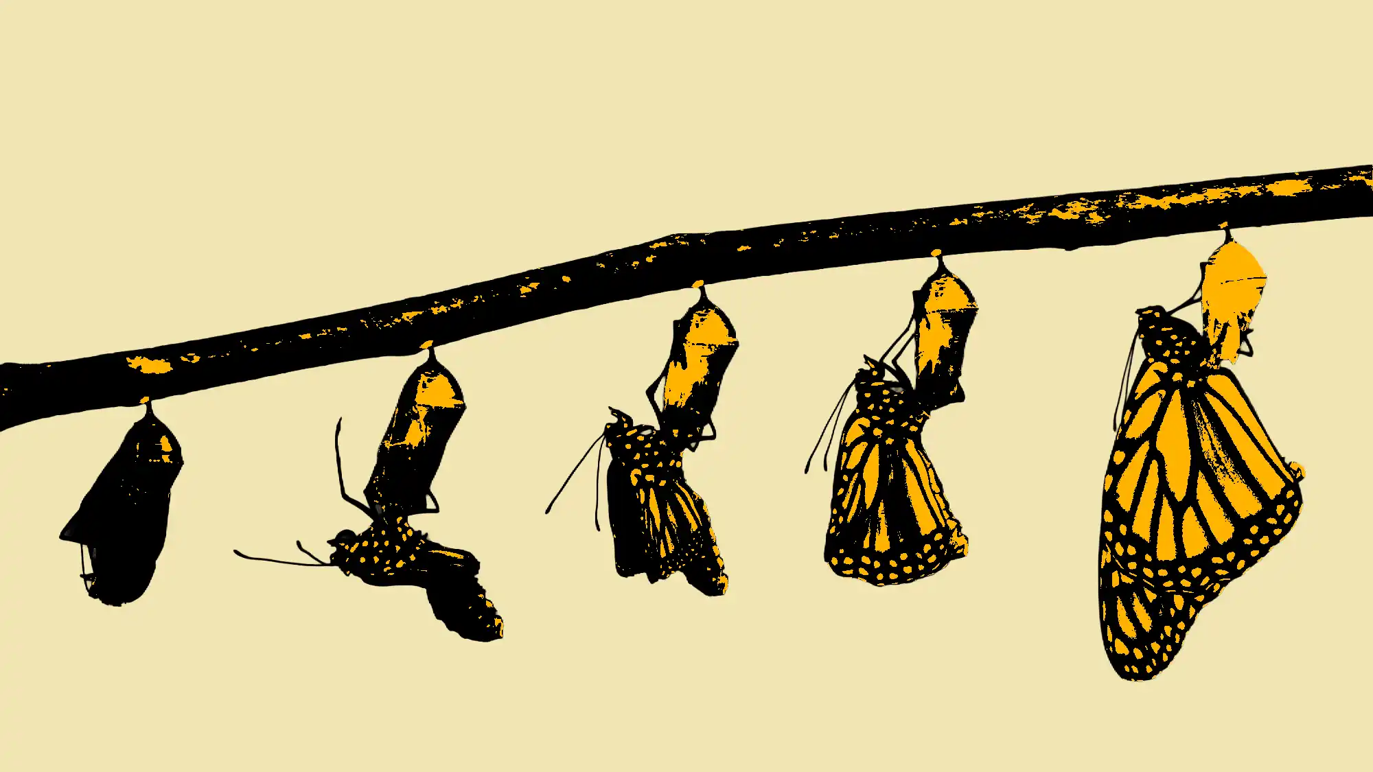 Promena